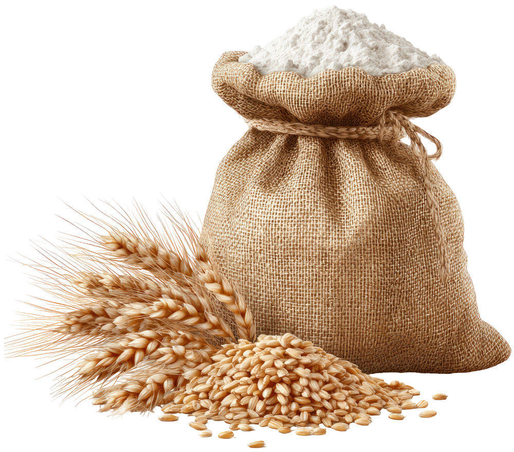 Kvalitné zrno AgroTrade Pulse